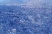 آتش سوزی در یکی از مراتع شهرستان راور+تصاویر