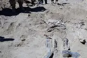 کشف گور دسته‌جمعی نظامیان عراقی در تکریت