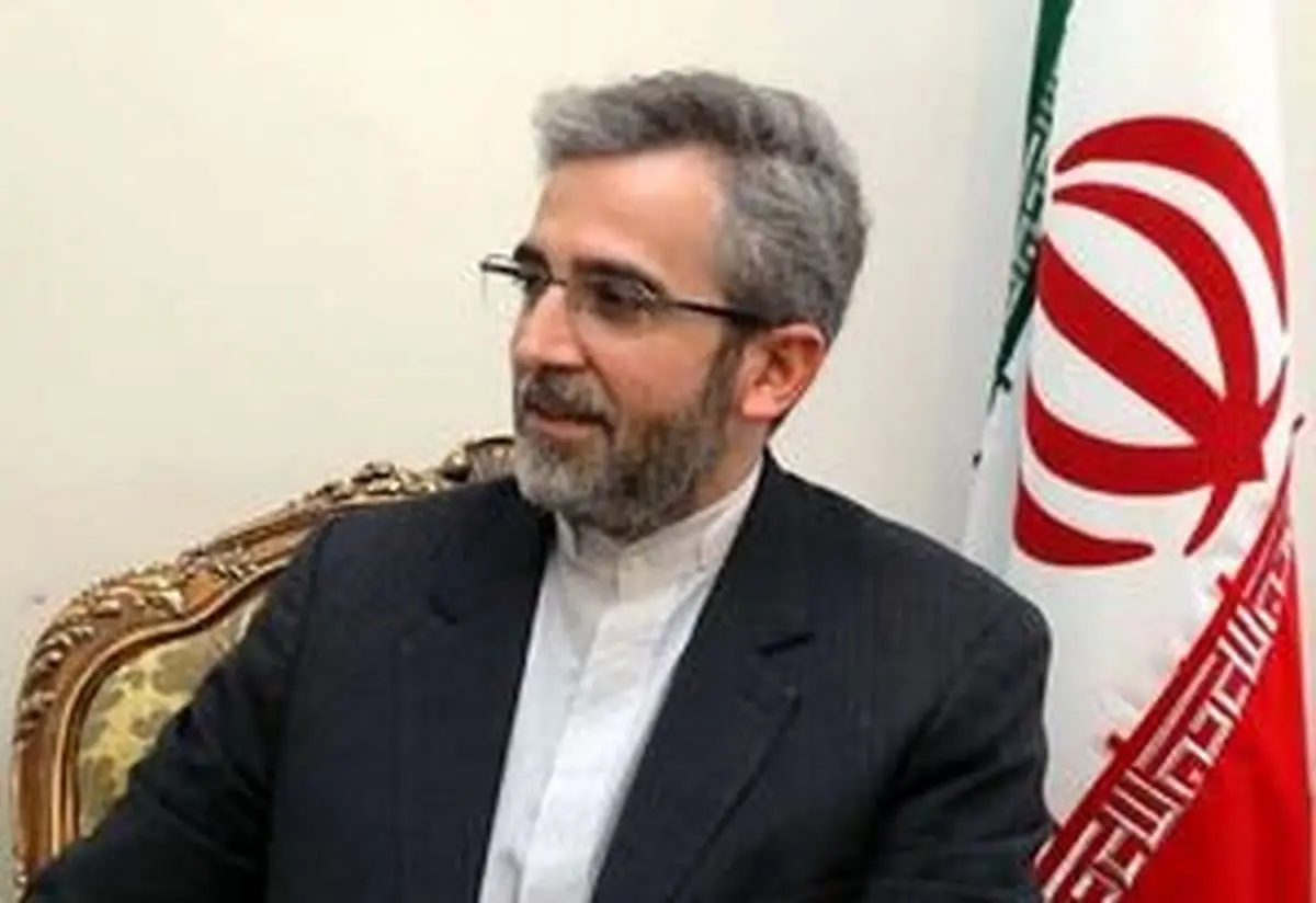 باقری: ایران در معادله برجام طرف مدعی است