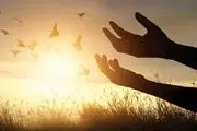 4 توصیه کاربردی امام علی(ع) برای داشتن زندگی بهتر