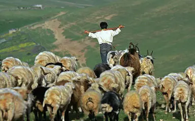 عشایر شاهسون