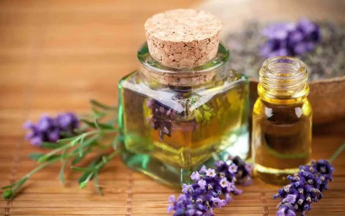 لیست قیمت برخی از عطرهای خنک موجود در بازار