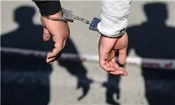 بازداشت ۱۹ نفر در پارتی مختلط شبانه در سیرجان