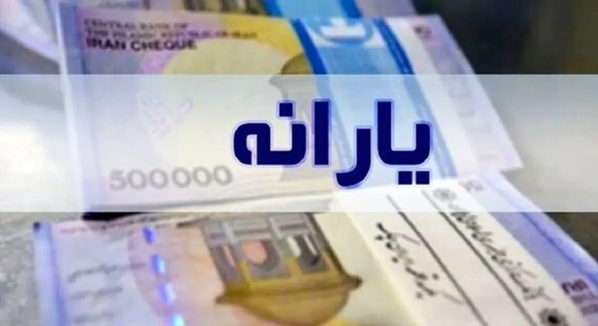 یارانه جدید کی قابل برداشت است؟