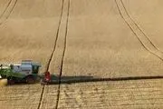 تلاش اتحادیه اروپا برای خارج کردن غلات از اوکراین