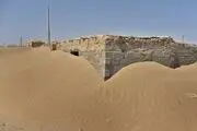 خاک هامون بلای جان مردم سیستان/ عکس