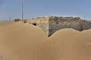 خاک هامون بلای جان مردم سیستان/ عکس