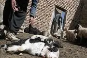 آگاهی بخشی به روستاییان توسط نیروهای بسیج در راستای مقابله با تب برفکی+تصاویر
