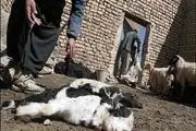 آگاهی بخشی به روستاییان توسط نیروهای بسیج در راستای مقابله با تب برفکی+تصاویر
