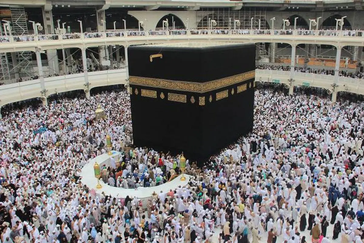 ذبح بیش از ۸۶ هزار راس قربانی در مراسم حج امسال

