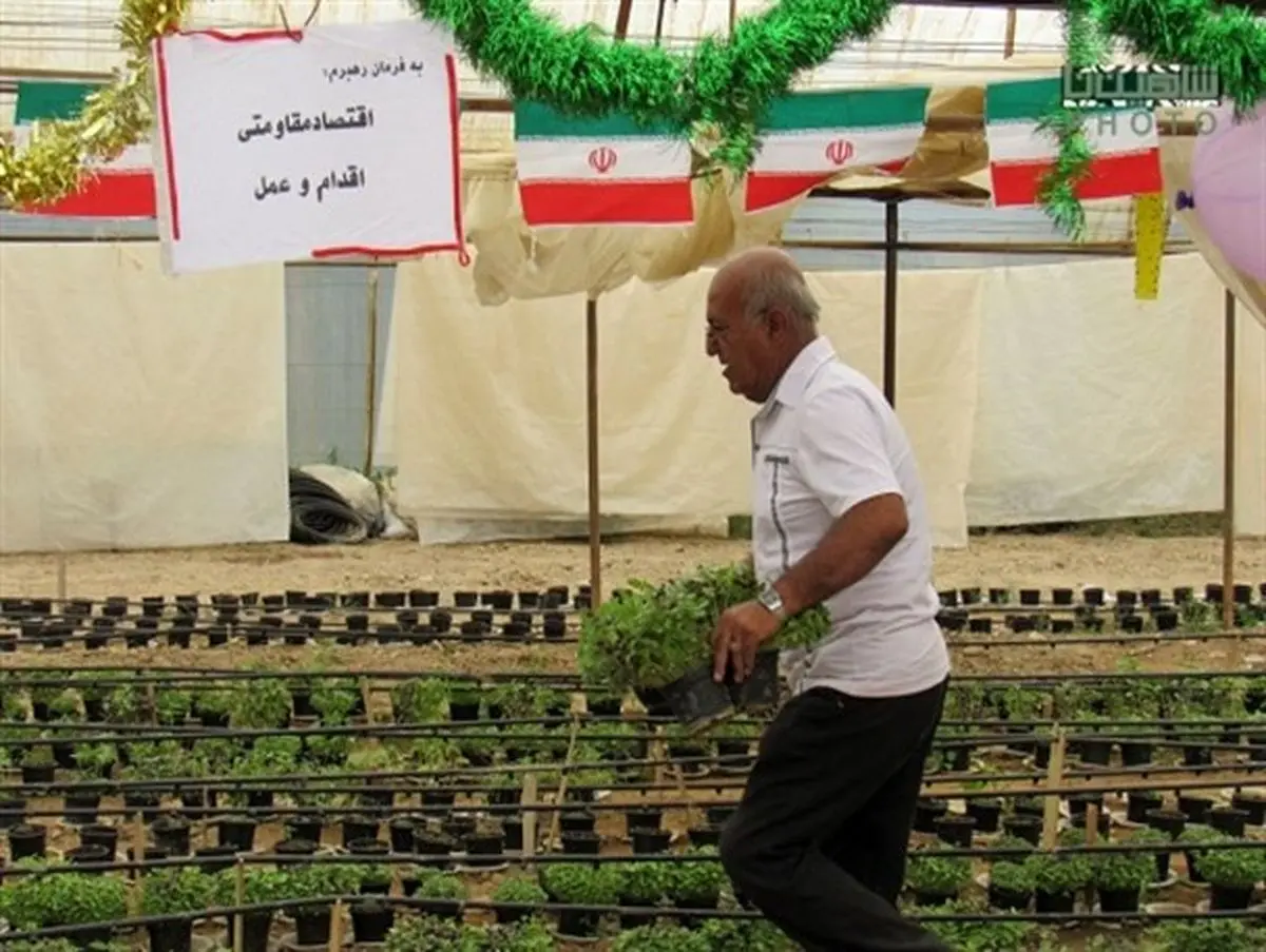 اقتصاد مقاومتی شعار نیست، اراده میخواهد!
