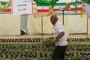 اقتصاد مقاومتی شعار نیست، اراده میخواهد!