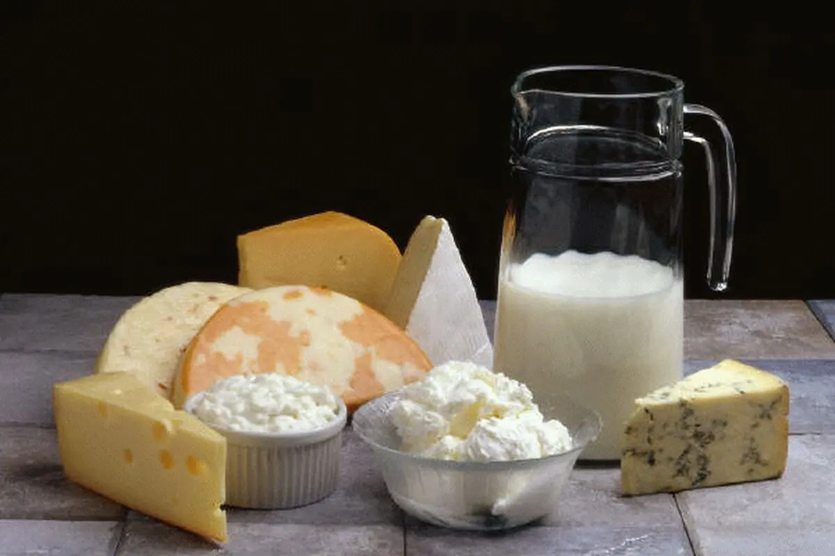  خبری از توزیع شیر مدارس نیست