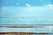 نمی‌گذاریم آشوراده را نابود کنند
