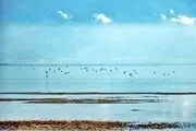 نمی‌گذاریم آشوراده را نابود کنند