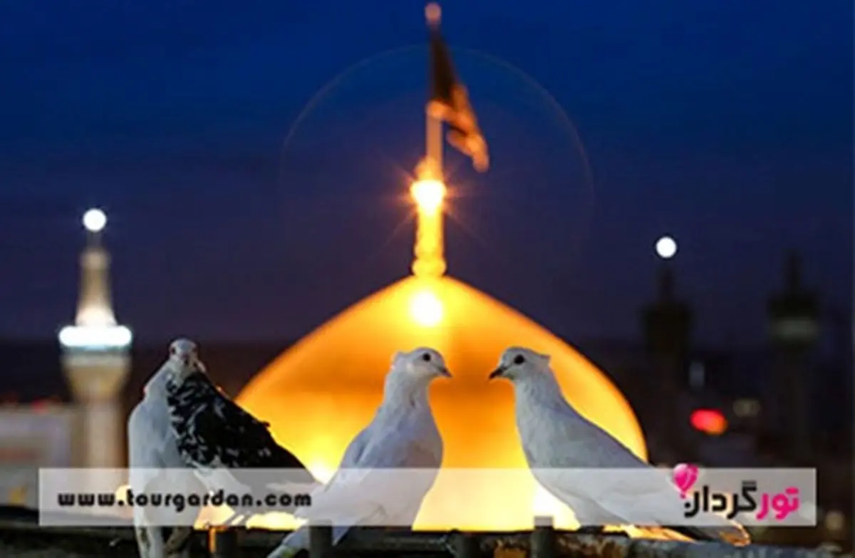 مشهد گردی را با تورگردان تجربه کنید.