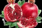 بهترین زمان ها برای انجام حجامت