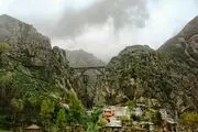 ورسک 80 ساله شد +تصاویر