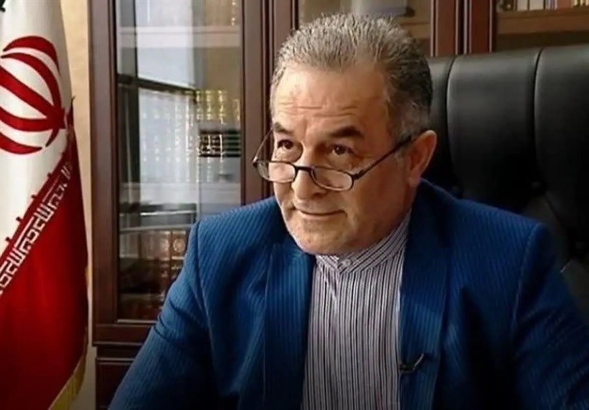  سفیر ایران خواستار بازنگری در توافق روادید با گرجستان شد 