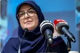 سخنگوی دولت: خسارت قایق‌های صیادان جبران می‌شود
