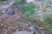 نگاهی به برخی از مشکلات آب شرب روستای حسین آباد(بیه کره) سروآباد +تصاویر