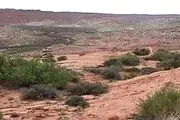 ایران سالانه ۱۶ میلیون تن فرسایش خاک دارد