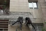 مسئولیت خسارت ناشی از افتادن سنگ نمای ساختمان با کیست؟