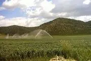 تشییع بی‌سروصدا 