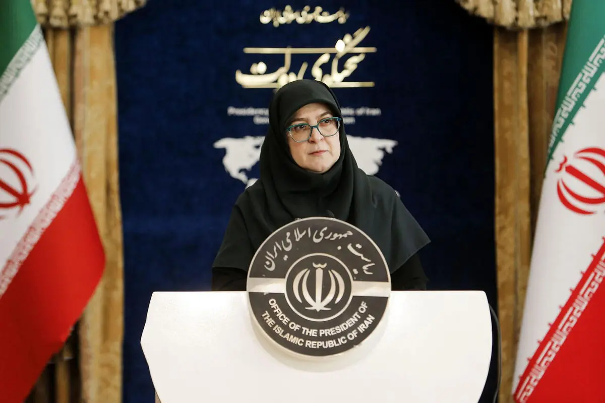 درخواست زیرکانه خانم سخنگو از نمایندگان مجلس