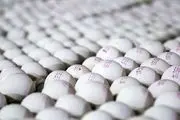 قیمت مصوب هر کیلو تخم‌مرغ برای مصرف‌کننده ۵۶ هزار تومان
