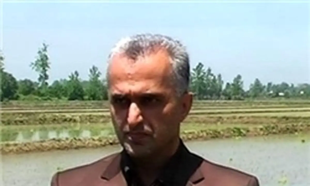 آغاز شخم زمستانه در شالیزارهای گیلان