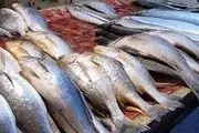 قیمت انواع ماهی ۲۶ اردیبهشت ۱۴۰۳+ جدول 
