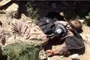  کشته شدن و بازداشت ۲۱ داعشی در استان نینوی 