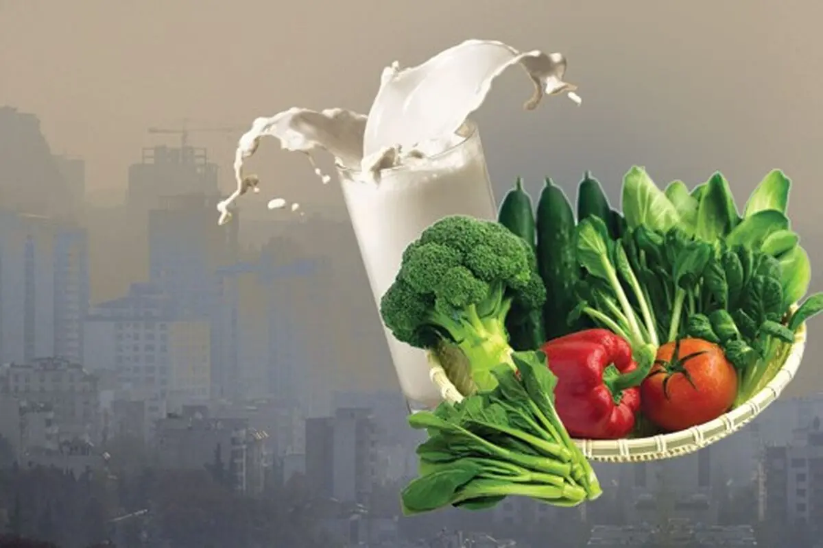 رژیم گیاهخواری برای کاهش وزن