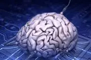 ابرکامپیوترها مغز انسان را شبیه‌سازی می‌کنند