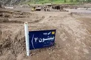 افزایش سهمیه گوشت و مرغ در مناطق سیل زده خوزستان