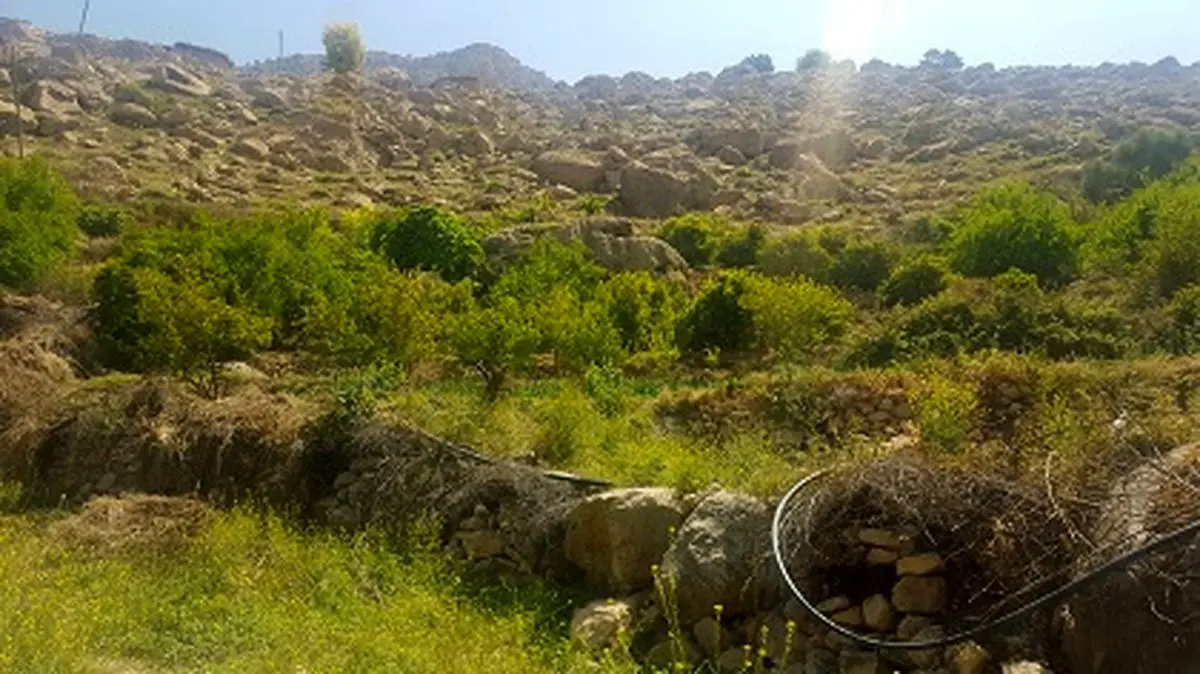 نیمدور، روستای سنگ ها و چشمه ها بازمانده ای از قافله توسعه