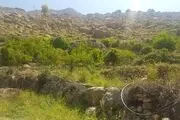  نیمدور، روستای سنگ ها و چشمه ها بازمانده ای از قافله توسعه
