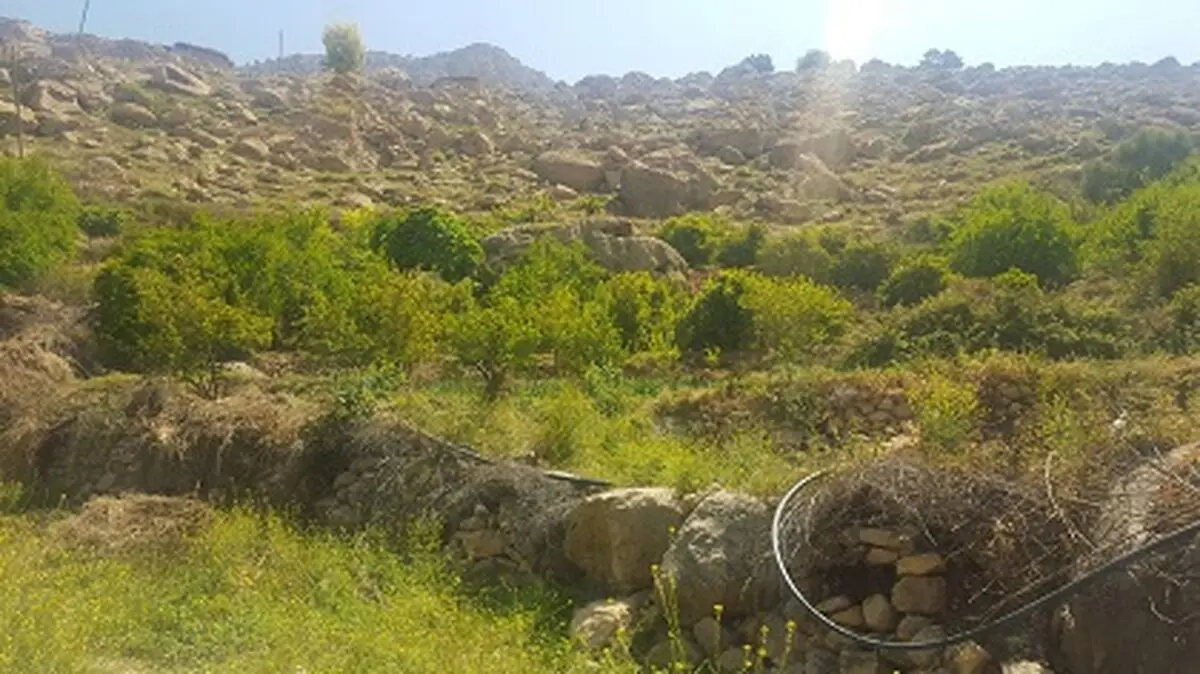  نیمدور، روستای سنگ ها و چشمه ها بازمانده ای از قافله توسعه