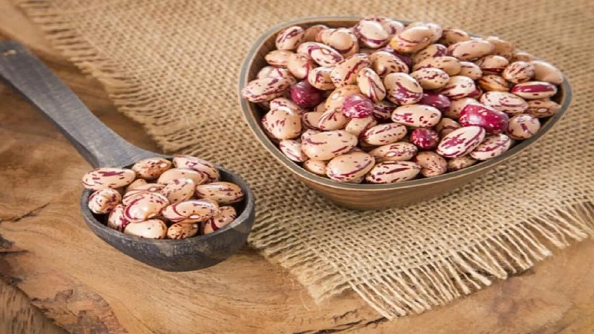 قیمت لوبیا چیتی سر به فلک کشید 