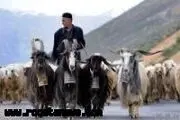 	آغاز ورود عشایر به مراتع چهارمحال و بختیاری