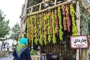 وقتی انگور در جشنواره به حاشیه می‌رود