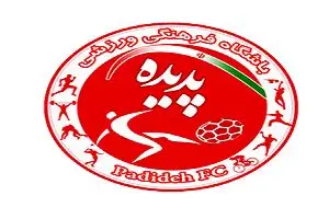 ما مثل پرسپولیس نیستیم