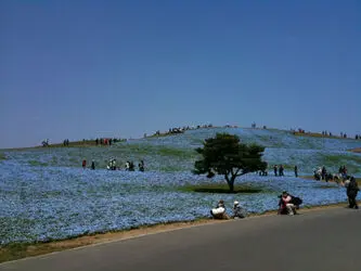 n00096731-r-b-012