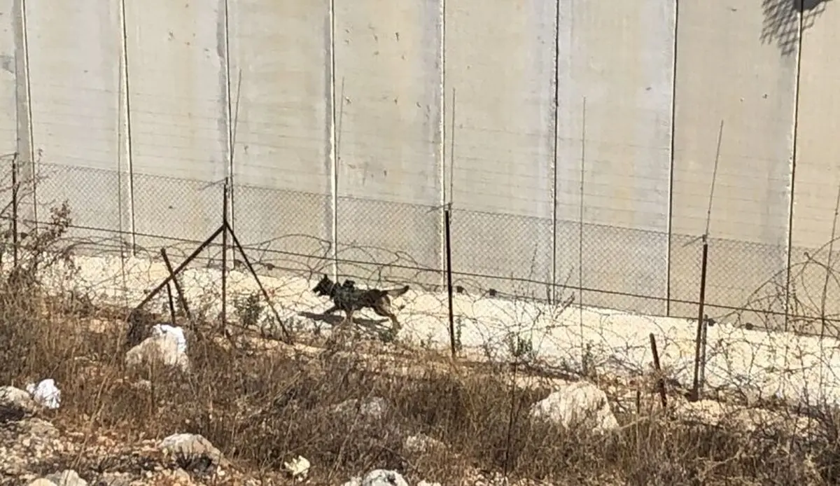 نصب حصار آهنی در مرز میان فلسطین اشغالی و لبنان
