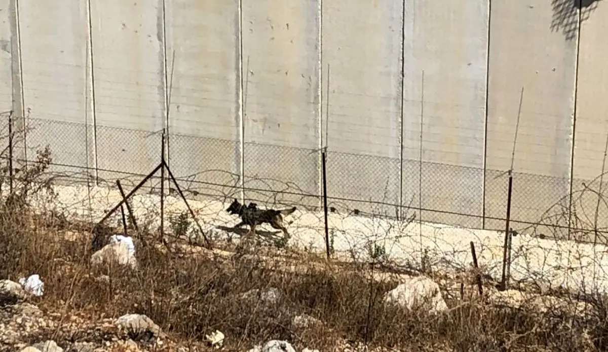نصب حصار آهنی در مرز میان فلسطین اشغالی و لبنان