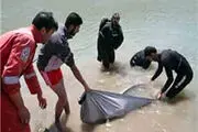 
کشف جسد تبعه افغانستان در ساحل دریا
