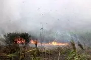 آتش سوزی در تالاب انزلی شهریور 1400+جزئیات