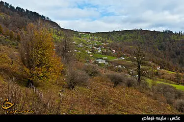 n00290317-r-b-004