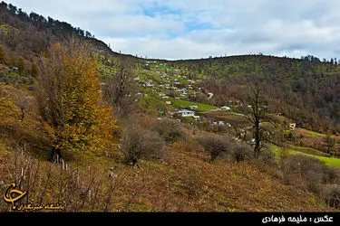 n00290317-r-b-004